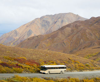 alaska denali national park bus istock