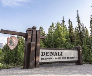 Denali National Park