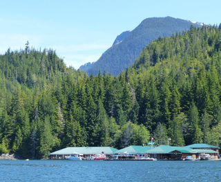 canada knight inlet lodge bc ll