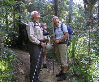 new zealand coromandel kiwi dundee guided tour