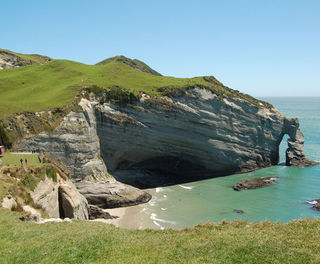 new zealand farewell spit eco tour beach