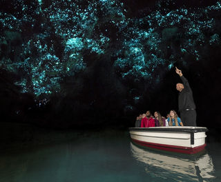 new zealand waitomo glow worm cave excursion