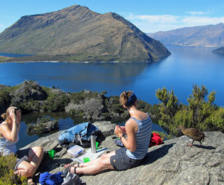 new zealand wanaka lake cruise and walk