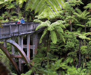 new zealand whanganui river bridge to nowhere vr