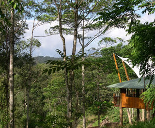 rose gums wilderness retreat2