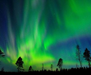 swedish lapland northern lights near brandon lodge