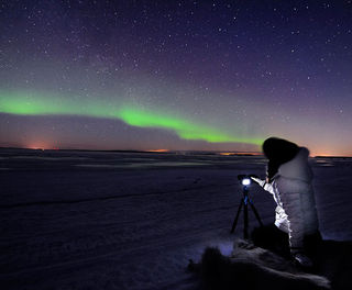 swedish lapland northern lights sled tour