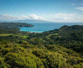 new-zealand-great-barrier-island-astk