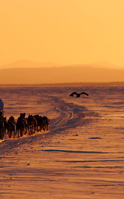 alaska iditarod sunset cm