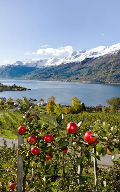 fjord norway view of sorfjorden from lofthus hu