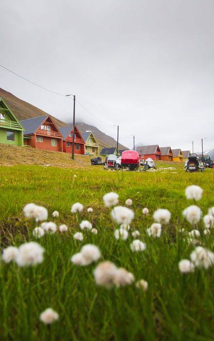 svalbard longyearbyen coloured houses summer istock