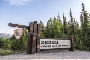 Denali National Park