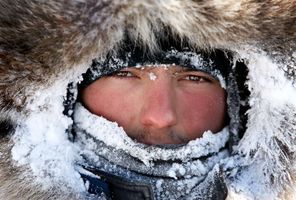 alaska iditarod husky musher atia