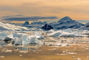 antarctica golden glow over icebergs at sunset istk