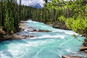 Kicking Horse River, Yoho National Park