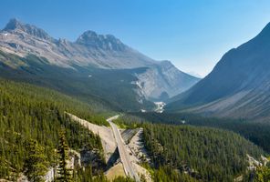 canada alberta icefields parkway aerial view istk