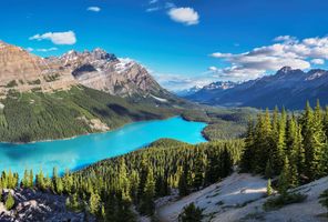 canada alberta peyto lake along icefields parkway istk