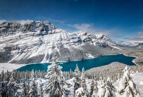 canada alberta peyto lake early winter istk