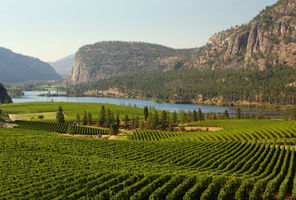 canada british columbia okanagan vineyards istk