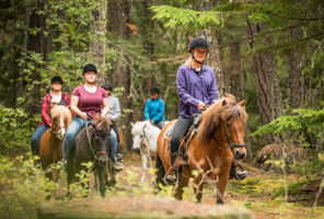 canada tweedsmuir provincial park horse riding tpl