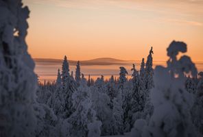 finnish lapland beautiful snow covered in winter light vf