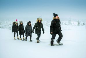 finnish lapland snowshoeing at star arctic hotel