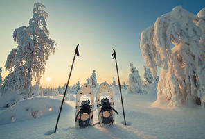 finnish lapland winter sun snowshoes vf