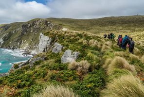heritage expeditions campbell island 2000x1333 Compressed