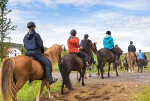 iceland group of horse riders astk