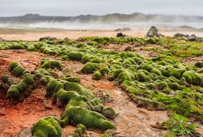 iceland reykjanes peninsula gunnuhver hot springs istk