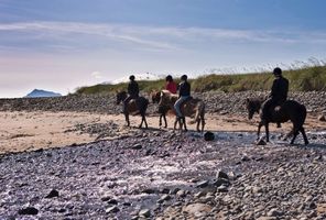 iceland snaefellsnes horse riding on beach rth