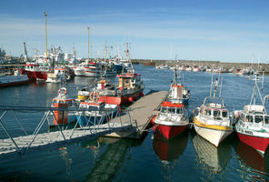 iceland snaefellsnes olafsvik harbour rth