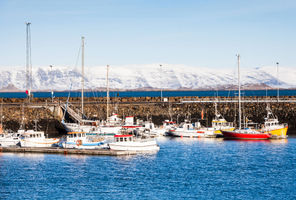 iceland snaefellsnes stykkisholmur harbour winter astk