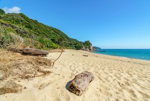 new zealand abel tasman gold sand beach istk