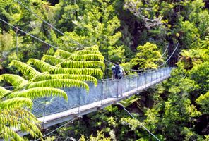 Abel Tasman swing bridge