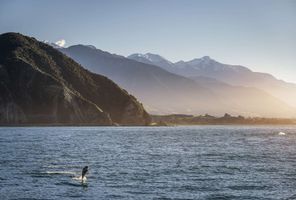 new zealand acrobatic dolphin kaikoura mountains tnz