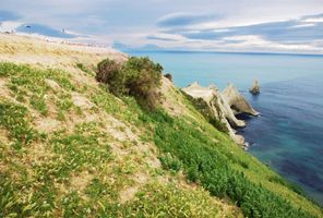 new zealand cape kidnappers hawkes bay istk