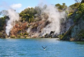 new zealand central plateau geysers at lake rotomahana istk