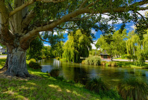 new zealand christchurch river avon willows istk