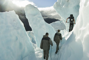 new zealand west coast franz josef glacier guided hike twc