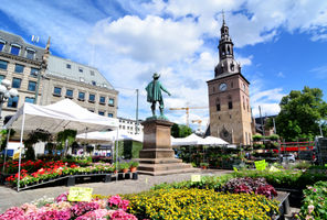 norway oslo flower market istk