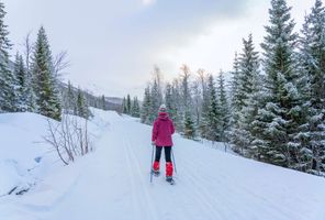 norway snowshoeing along trail istk