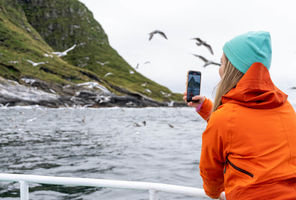 norway-vesteralen-photographing-seabirds-vn