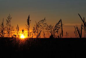 saskatchewan sunset wheat field istk