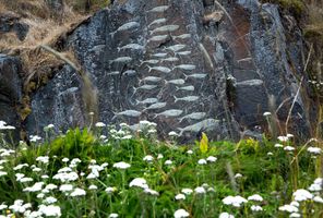 south greenland qaqortoq rock carving vg