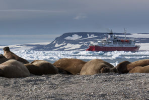 spitsbergen hinlopen strait rth