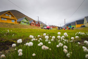 svalbard longyearbyen coloured houses summer istock