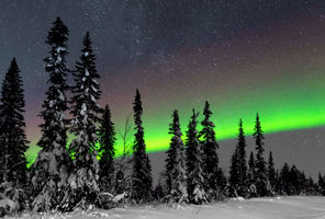 sweden lapland aurora over forest jw