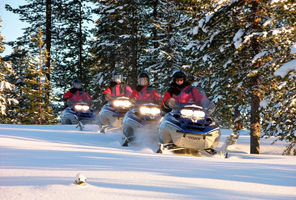 sweden lapland snowmobiles through forest lmb