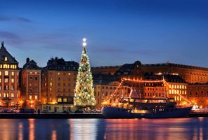 sweden stockholm festive christmas tree istk